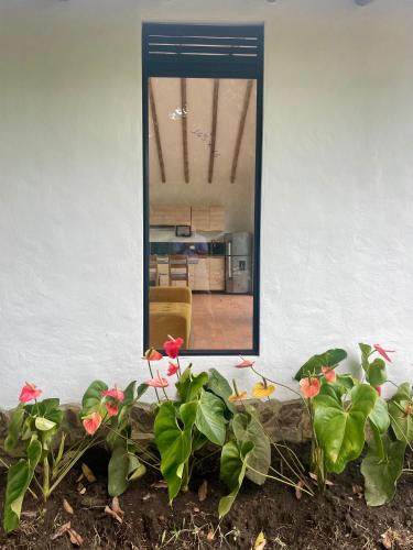 a mirror on the side of a house with flowers at Ecohotel Alma in Calarcá