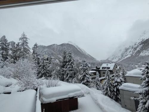 a snow covered yard with trees and mountains in the background at Chesa Betschla Pontresina in Pontresina