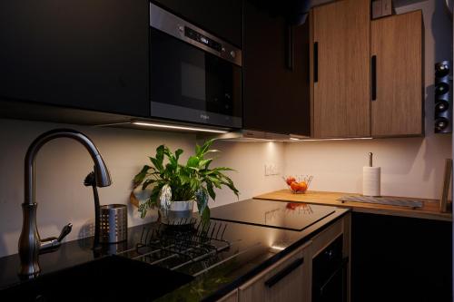 a kitchen with a sink and a stove top oven at Chambre chez habitant proche Métro in Toulouse