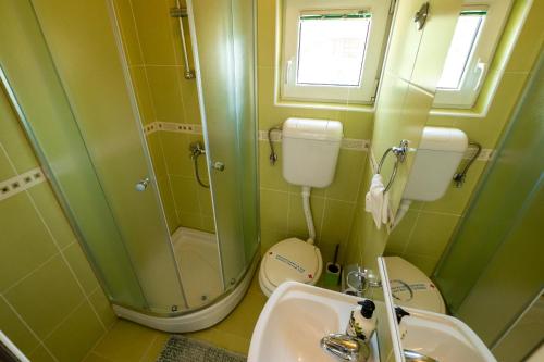 a bathroom with a shower and a toilet and a sink at Harmonija na Dunavu in Smederevo