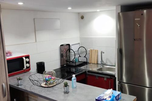 a kitchen with a refrigerator and a counter top at Studio fonctionnel avec espace extérieur partagé in Villepinte