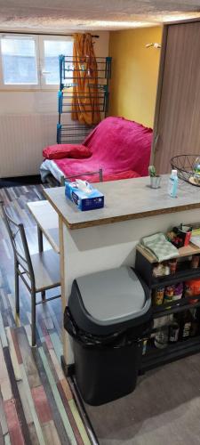 een kamer met een tafel, een bed en een bureau bij Studio fonctionnel avec espace extérieur partagé in Villepinte