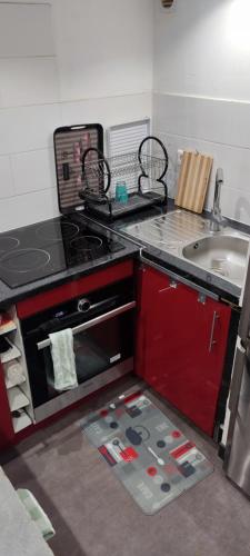 een keuken met een fornuis en een wastafel bij Studio fonctionnel avec espace extérieur partagé in Villepinte