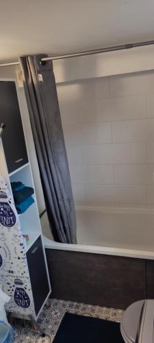a bathroom with a shower curtain and a toilet at Studio fonctionnel avec espace extérieur partagé in Villepinte