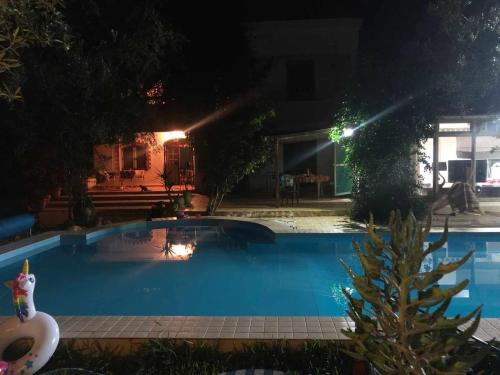 a swimming pool at night with a christmas tree next to it at villa les oliviers in Port El Kantaoui