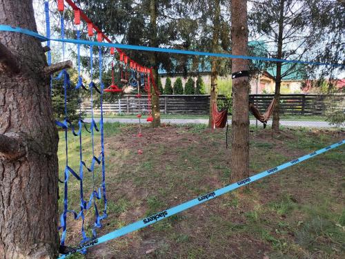 a blue rope tied to a tree in a park at Radawa Family Space in Radawa
