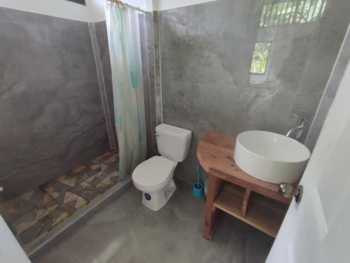 een badkamer met een toilet, een wastafel en een douche bij Jungle house in Cocles