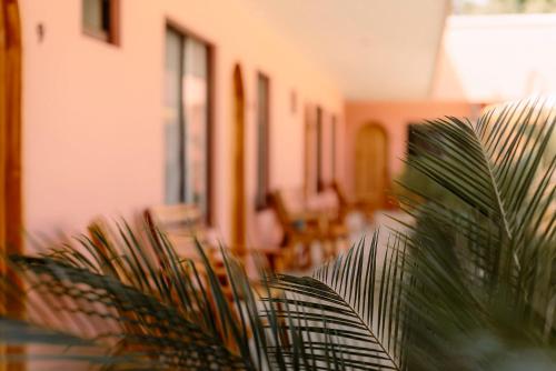 Galería fotográfica de Hotel Amavi en Jacó