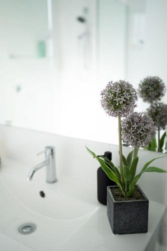 a bathroom sink with a potted plant on it at Spacious & Modern 4 Bedrooms in Tuggeranong