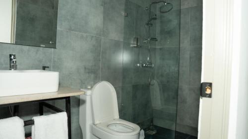 a bathroom with a shower and a toilet and a sink at Hotelito Bonito Eli & Edw in Santo Domingo