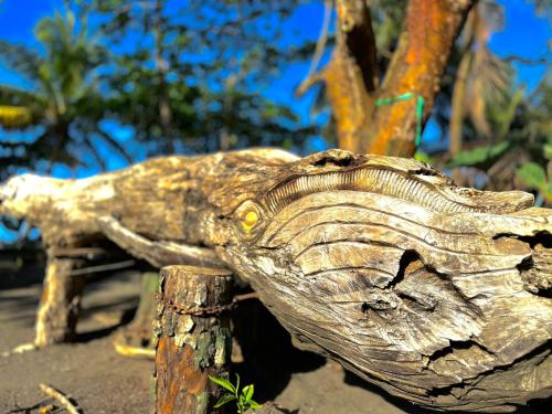 posąg głowy krokodyla na słupie w obiekcie El Deseo Serendipity Tortuguero w mieście Tortuguero