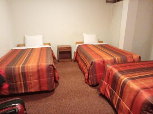 ein Hotelzimmer mit 2 Betten in einem Zimmer in der Unterkunft PUNO EROPA HOTEL in Puno
