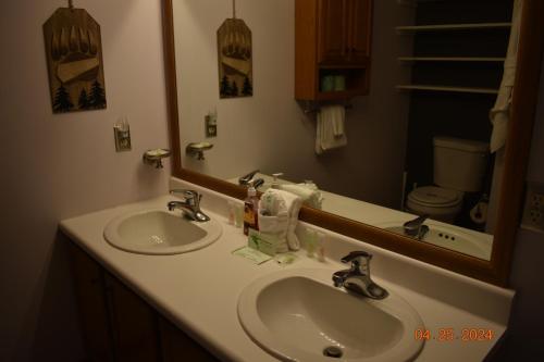 2 Miles to Parkway, Hot Tub, Pool Table, Air Hockey, Fire Pit! في بيدجن فورج: حمام به مغسلتين ومرآة