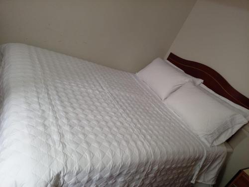 a white bed with two pillows in a room at PUNO EROPA HOTEL in Puno