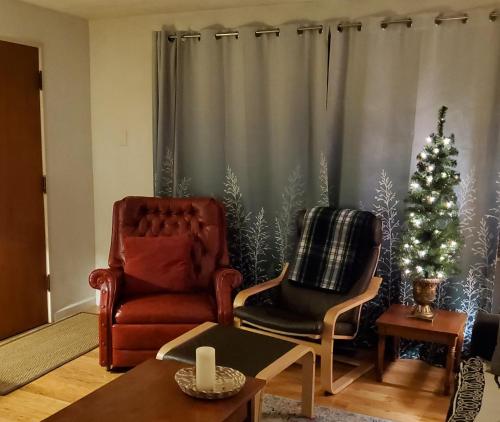 a living room with a christmas tree and two chairs at Sweet 2 bedroom close to U of Oregon & track! in Eugene
