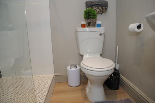 a bathroom with a white toilet and a shower at Royal Pearl, Insta-worthy APT in Paarl