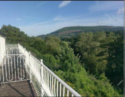 a white suspension bridge over a forest of trees at Llanwenarth Hotel in Crickhowell