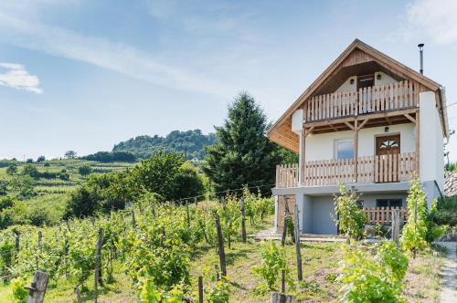 a house in the middle of a vineyard at Buborék - Somló Country Home in Somlóvásárhely