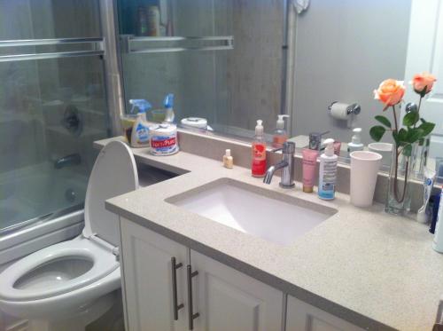 uma casa de banho com um lavatório, um chuveiro e um WC. em Edmonds Home em Burnaby