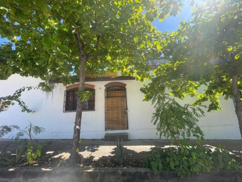 una casa con un albero di fronte di Casa lina a Puerto Escondido