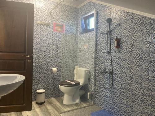 uma casa de banho com um chuveiro, um WC e um lavatório. em Pensiunea Belvedere Murighiol em Murighiol