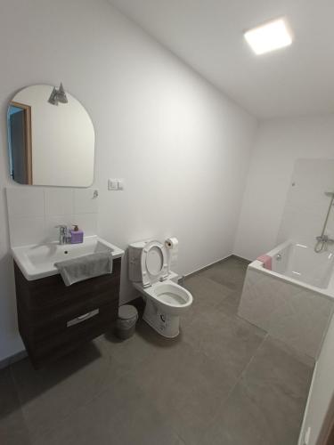 Ένα μπάνιο στο Apartamenty Kwiat Jabłoni