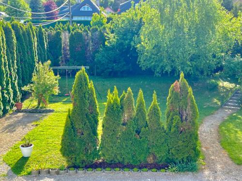 an overhead view of a garden with trees and bushes at White House Zalakaros in Zalakaros