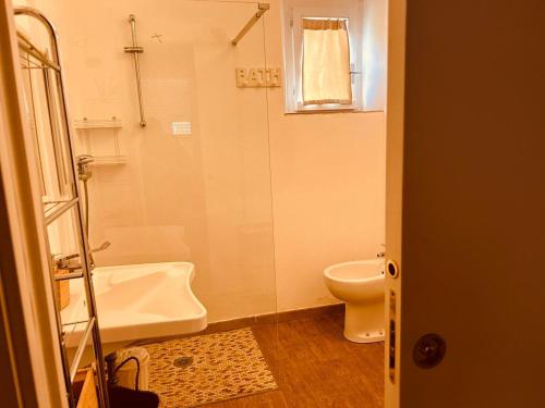 a bathroom with a toilet and a sink and a shower at Agriturismo Poggio Ceraso di Lamioni Roberto in Magliano in Toscana