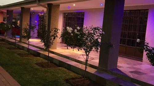 a row of trees in front of a building at night at Victoria Mea Est in Welkom
