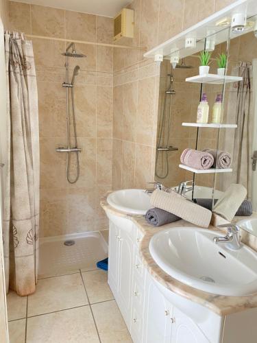 a bathroom with a sink and a shower at Domaine Les Buis in Saint-Fortunat-sur-Eyrieux