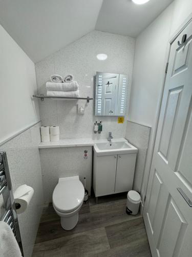 a small bathroom with a toilet and a sink at 9 Sheraton Apartments in Fort William
