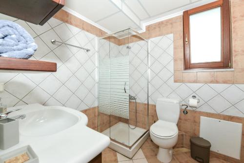 La salle de bains est pourvue de toilettes, d'une douche et d'un lavabo. dans l'établissement V&GIO COZY APARTMENTS, à Nopíyia