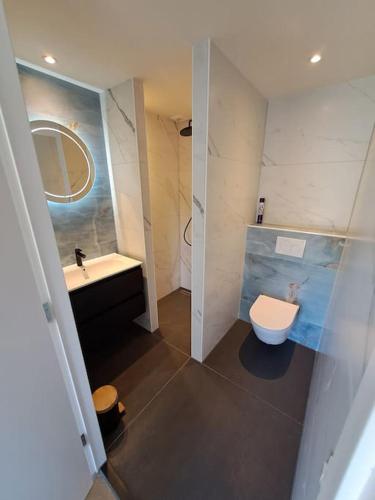 a bathroom with a toilet and a sink at De Platwever 3C in Zelhem