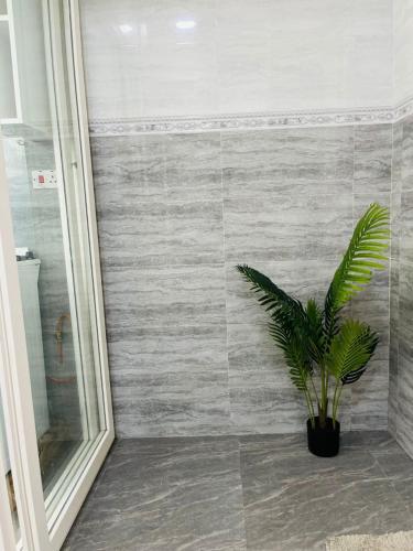 a green plant in a bathroom with a mirror at Greenlight Apartments in Kiembi Samaki