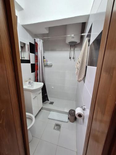 ein kleines Bad mit WC und Waschbecken in der Unterkunft Apartmani Ružica in Višegrad