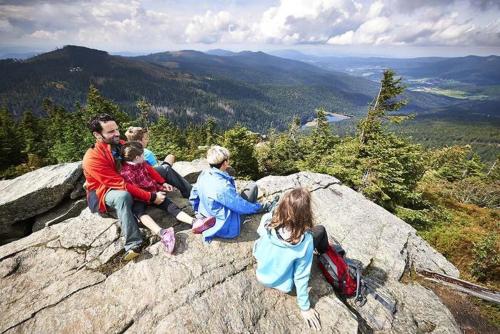 a group of people sitting on top of a rock at Maier Pension in Bayerisch Eisenstein