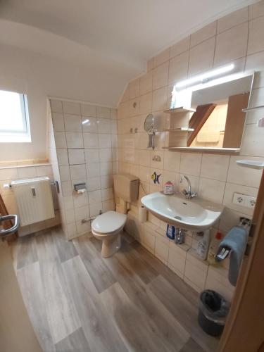een badkamer met een toilet en een wastafel bij Ferienanlage - Am Moselufer in Kövenig