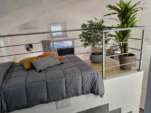 Casa Morena, nel cuore di Napoli