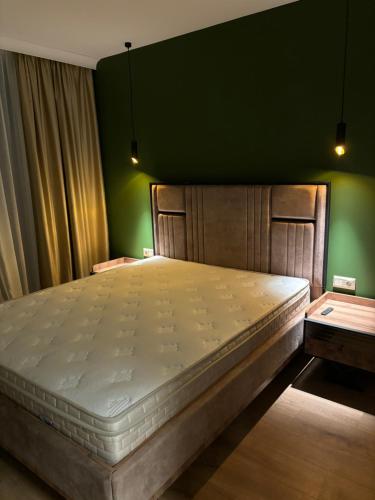 1 dormitorio con 1 cama grande y pared verde en Sofia Apartment, en Sofía