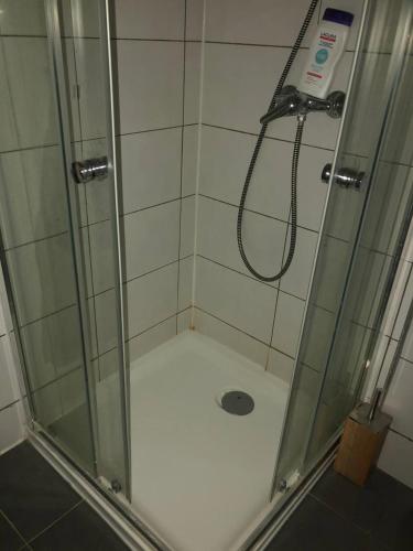a shower with a glass shower stall with a shower at Antwerpen OLIVIA Apartments in Antwerp