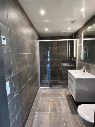 a bathroom with a shower and a sink and a toilet at Trysil Alpine Lodge in Trysil