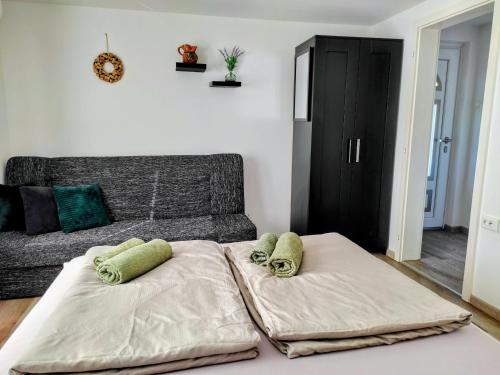 dwa łóżka w salonie z kanapą w obiekcie Počitniška hiša Pavlek w mieście Ivanjkovci