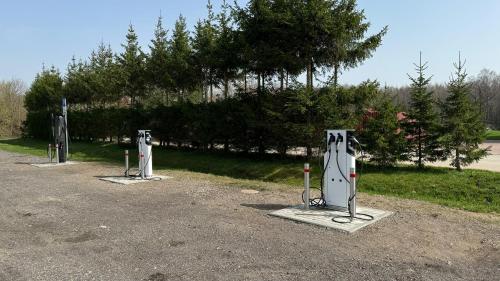 Gambar di galeri bagi Vila Radailiai - Dinosaur Park di Radailiai