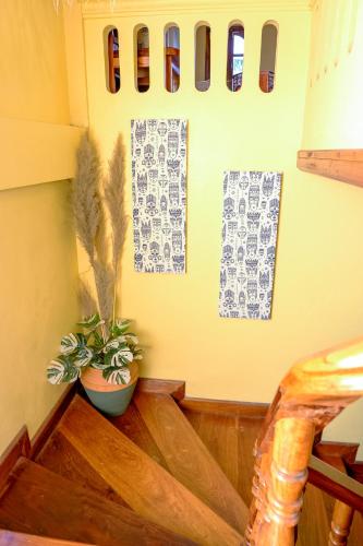 a room with a potted plant on a wooden table at La Casa Nostra in Luang Prabang