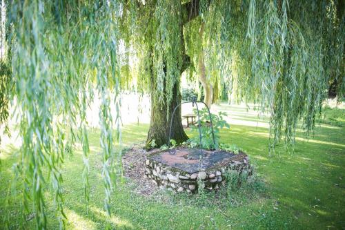 a bench sitting under a tree in a park at Hotel Boutique El Convento de Mave in Santa María de Mave