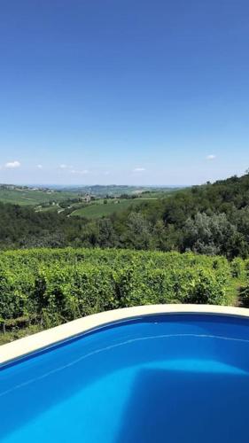 a blue car parked in front of a vineyard at Villa Teresa - Villa & Piscina immersi nel vigneto! in Montecalvo Versiggia