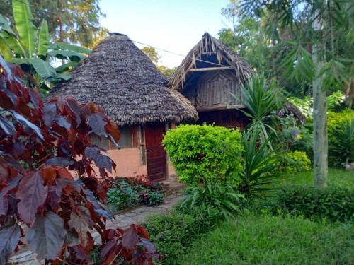 Cette petite maison est dotée d'un toit de chaume. dans l'établissement Irente Kinyonga Cottage, à Lushoto