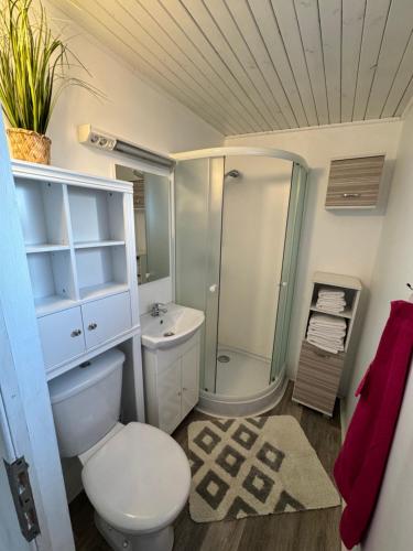 uma casa de banho com um lavatório e um chuveiro. em Bungalows Sonnenblume HEATED POOL Für Familien und Paare! em Sankt Kanzian