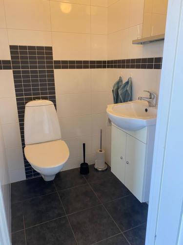 La salle de bains est pourvue de toilettes et d'un lavabo. dans l'établissement Skedala horsefarm, à Halmstad