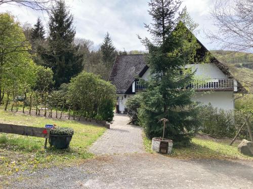 a house with a christmas tree in front of it at Gasthof Walhalja in Schmallenberg